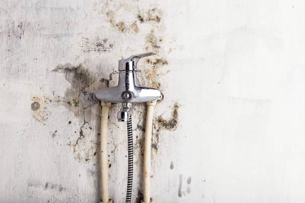 Mason Neck, VA Mold Removal Company