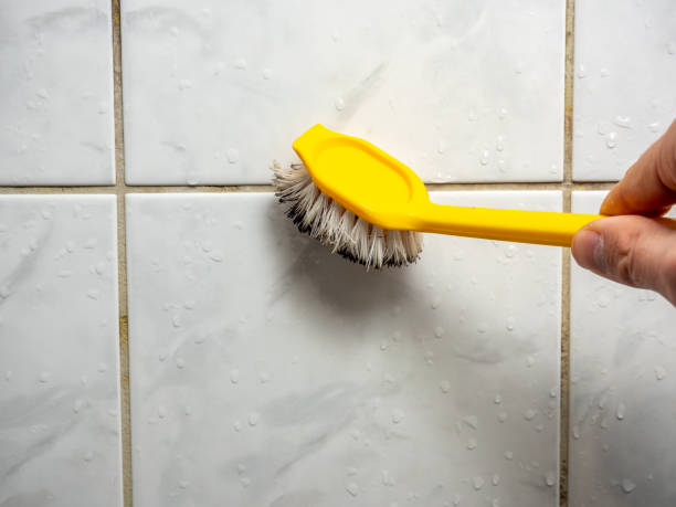 Reliable Mason Neck, VA Mold Removal Solutions