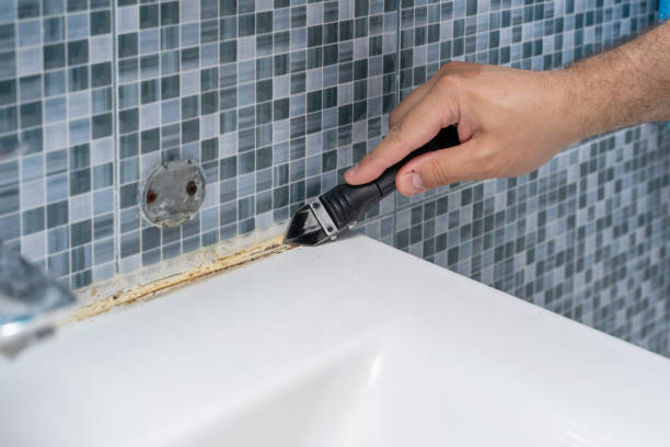 Mold Removal and Inspection in Mason Neck, VA